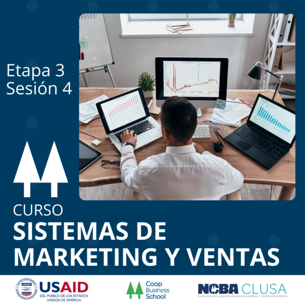 Presentación del curso Sistemas de Marketing y Ventas – Etapa 3 Sesión 4