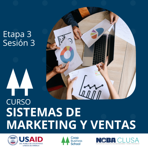 Presentación del curso Sistemas de Marketing y Ventas – Etapa 3 Sesión 3