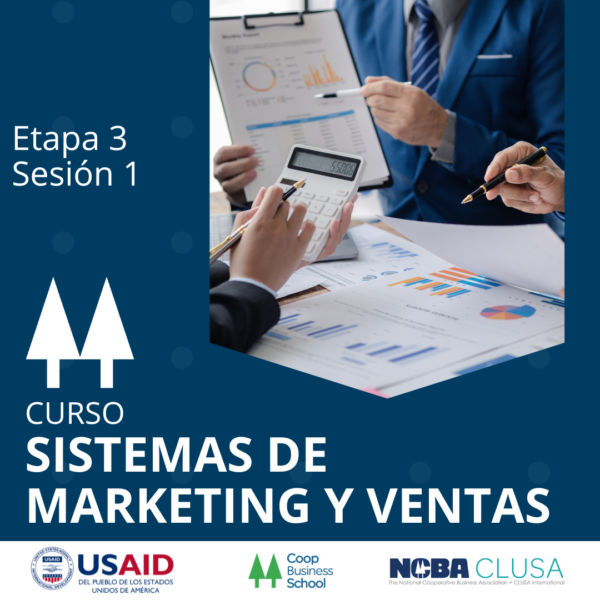 Presentación del curso Sistemas de Marketing y Ventas – Etapa 3 Sesión 1